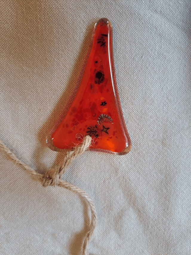 Rainbow bunting (6)