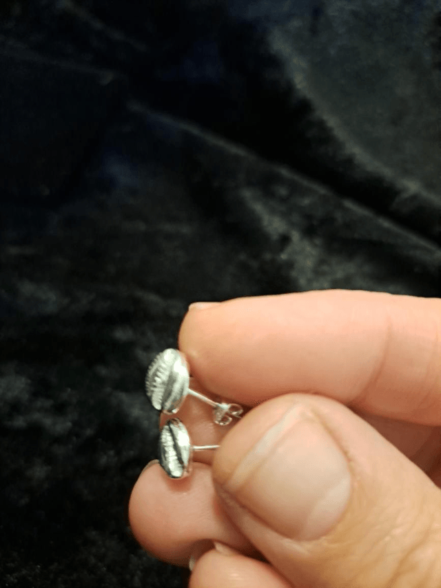 Silver cowrie shell studs