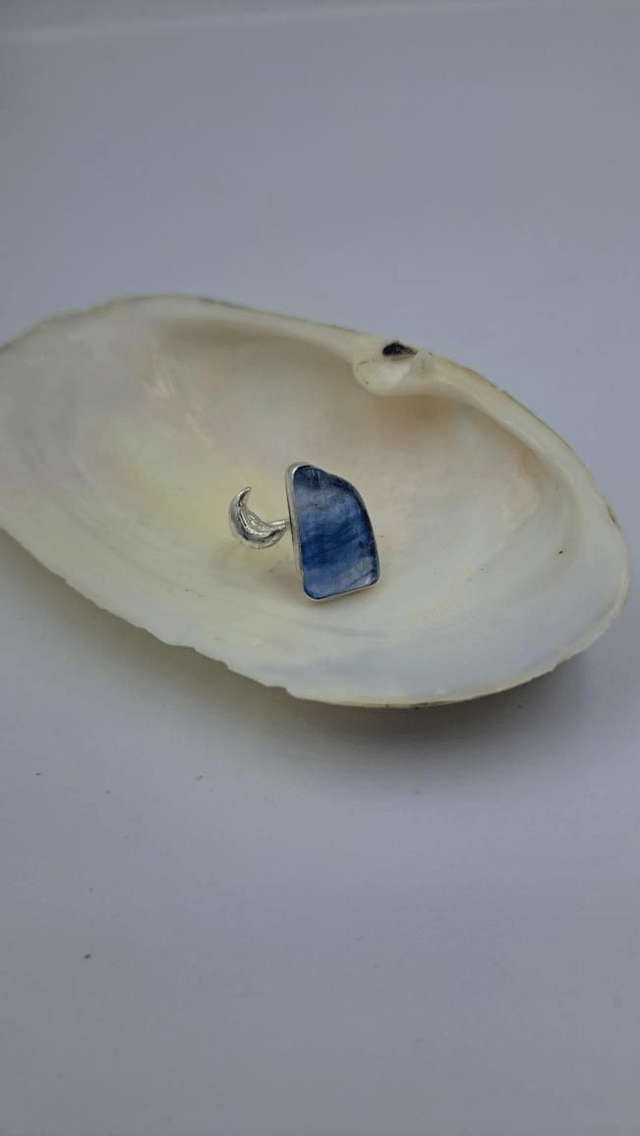 Lunar sea ring