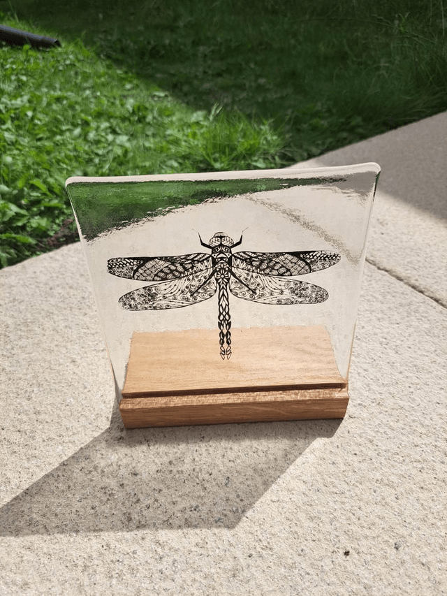 Dragonfly in stand