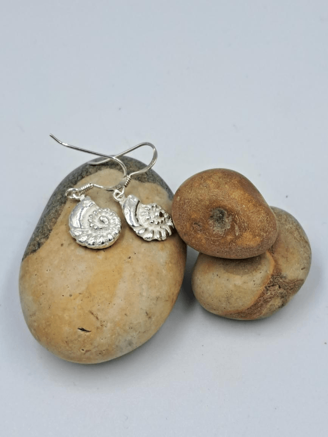 Ammonite Silver Set
