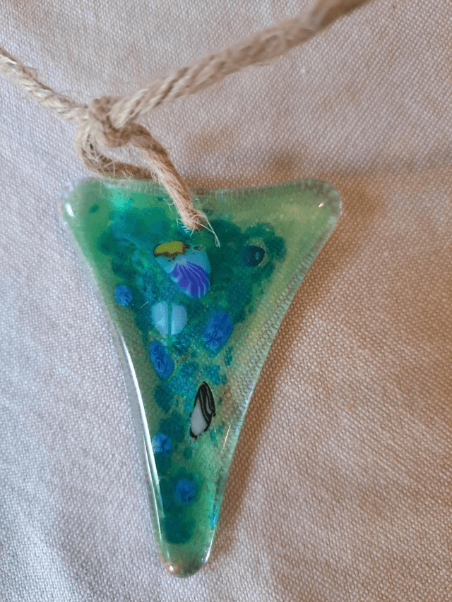 Rainbow bunting (6)