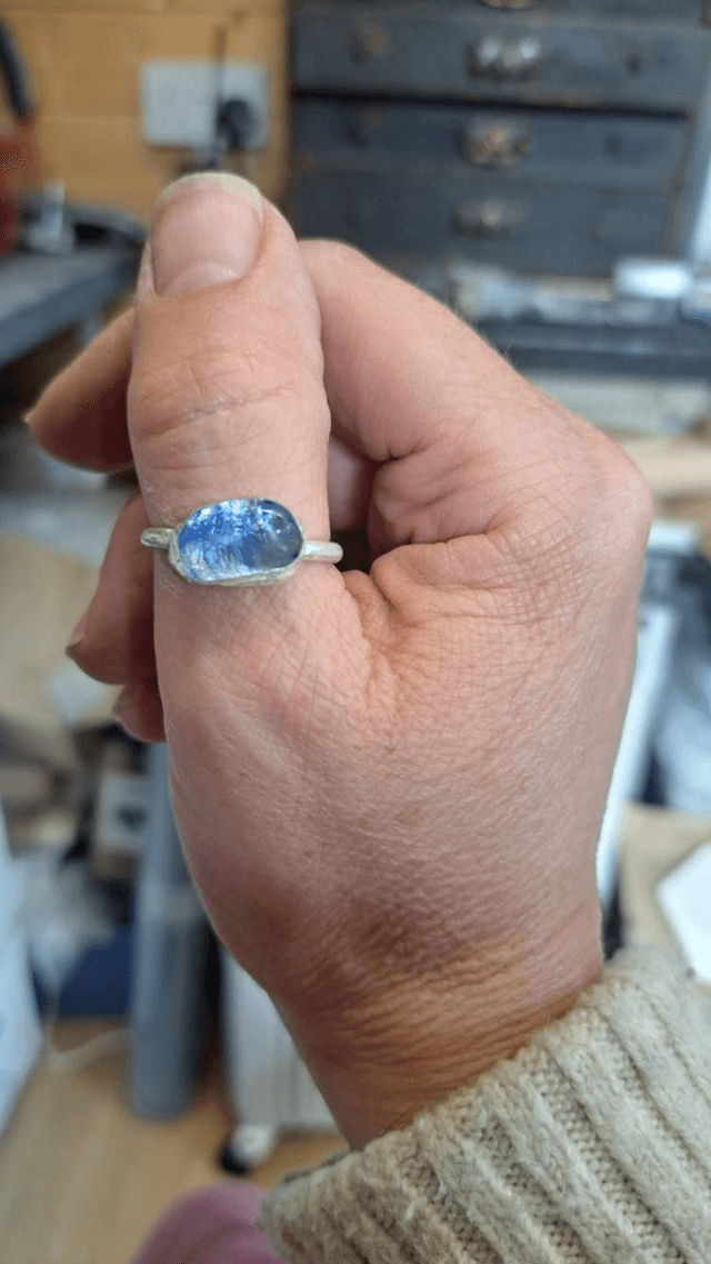Tidal ring 