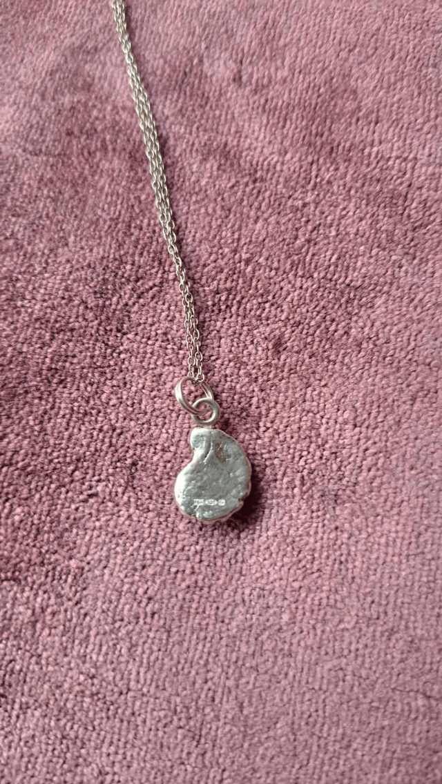 Small ammonite pendant 