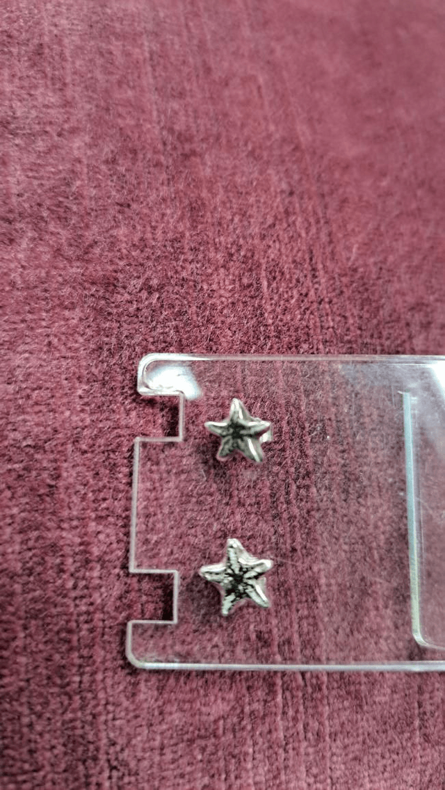 Fossil star studs