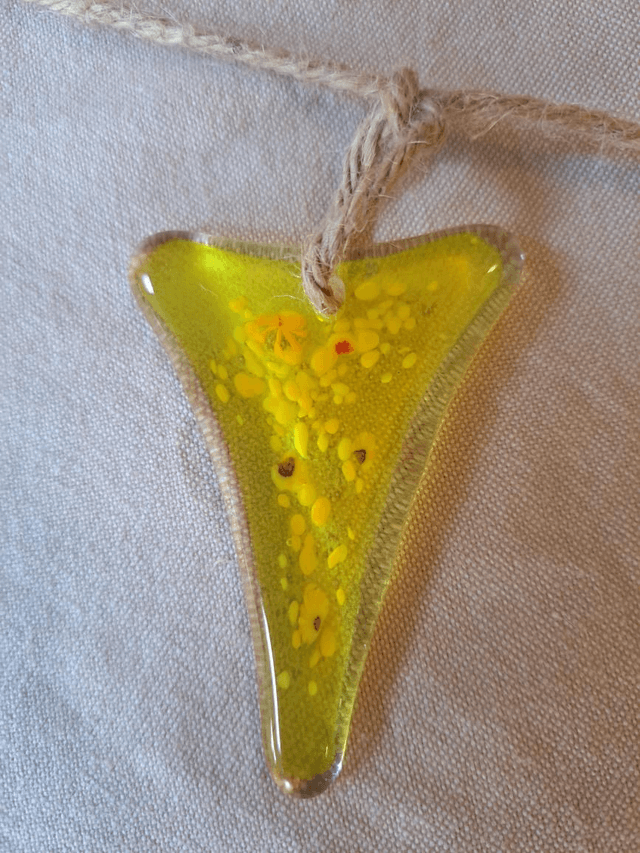 Rainbow bunting (6)