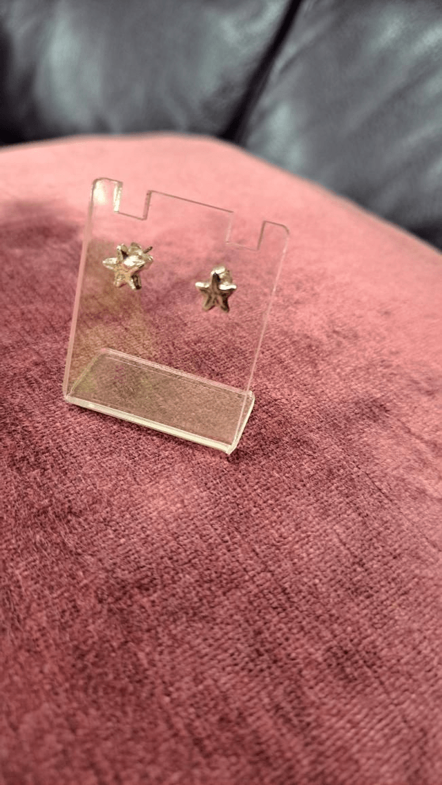 Fossil star studs