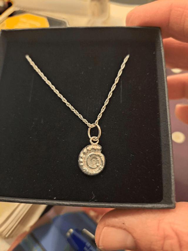 Ammonite Silver Pendant 