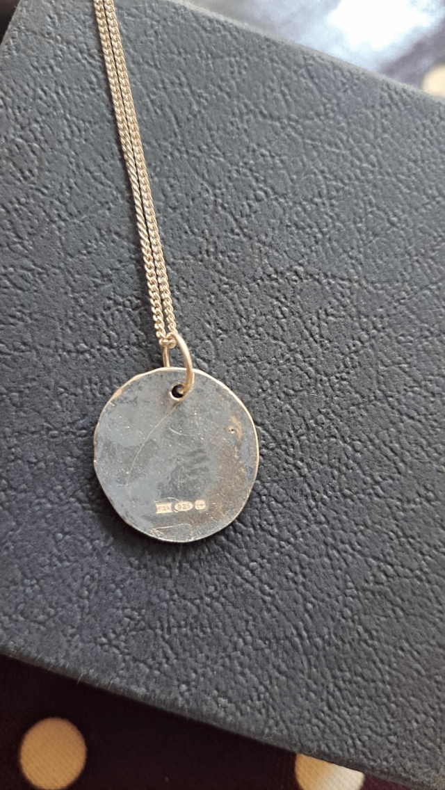 Seed pod silver pendant 