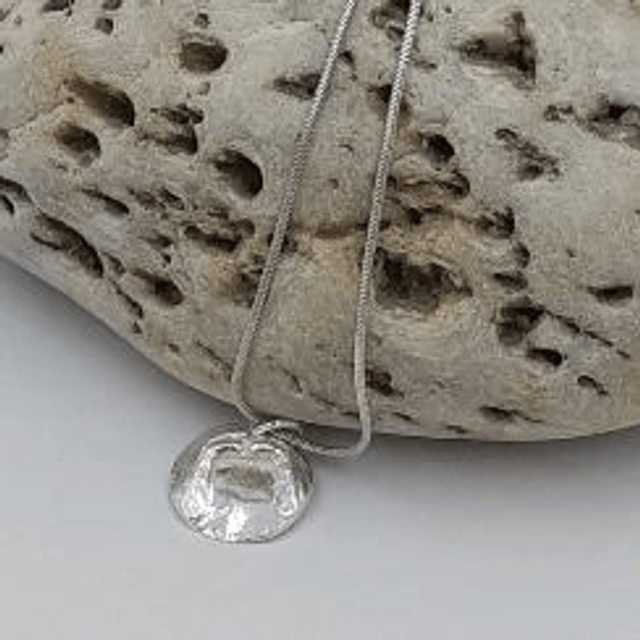 Sycamore pendant 