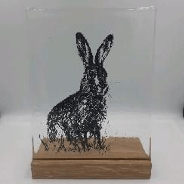 Wild hare in stand 