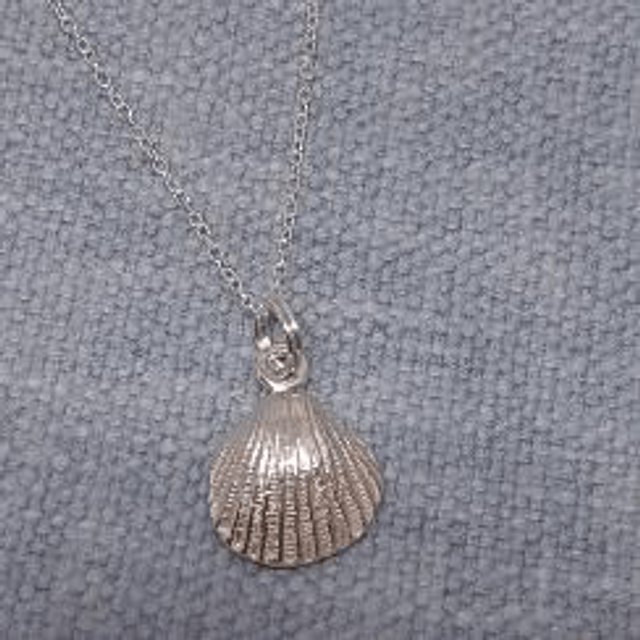 Shell pendant 