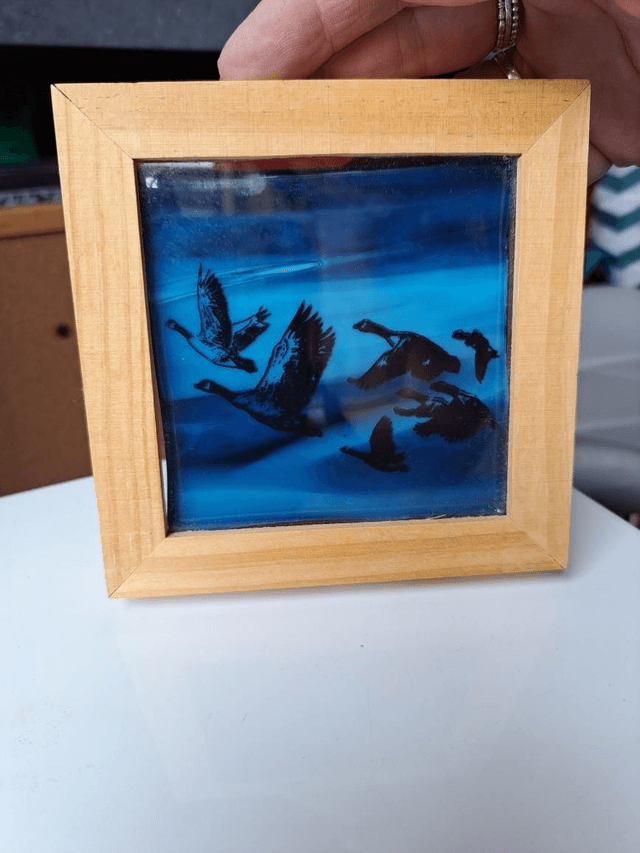 Canada Geese in flight