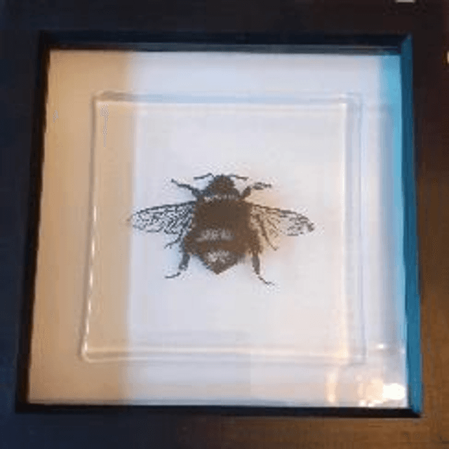 Enamelled bee picture