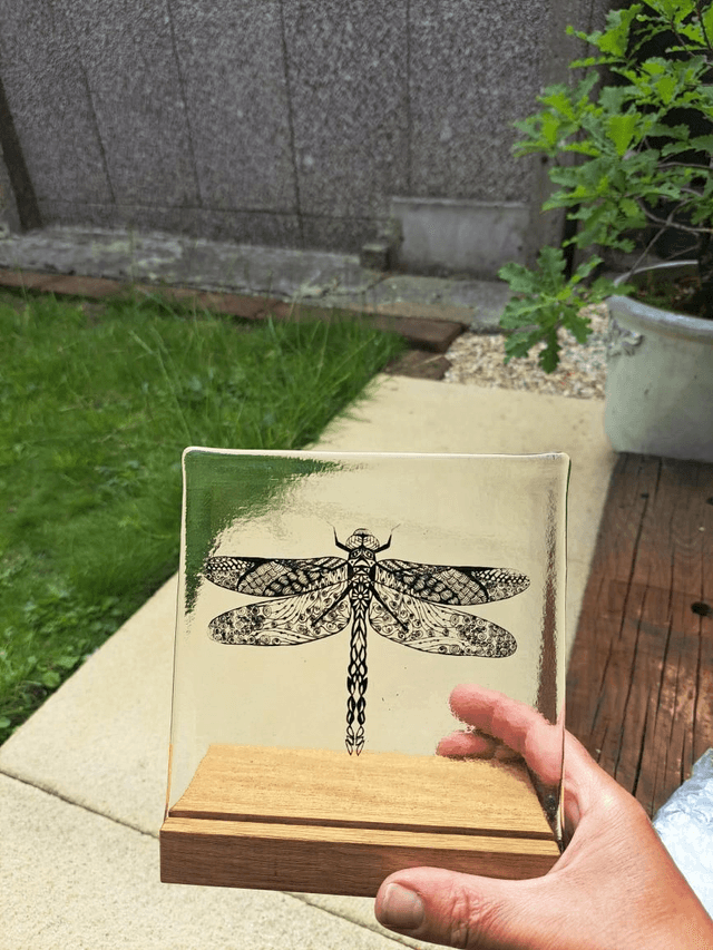 Dragonfly in stand