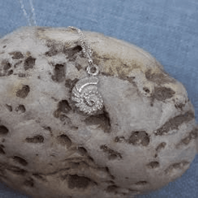 Small ammonite pendant 