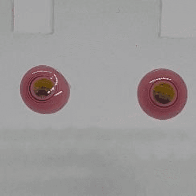 Rainbow studs  (2)