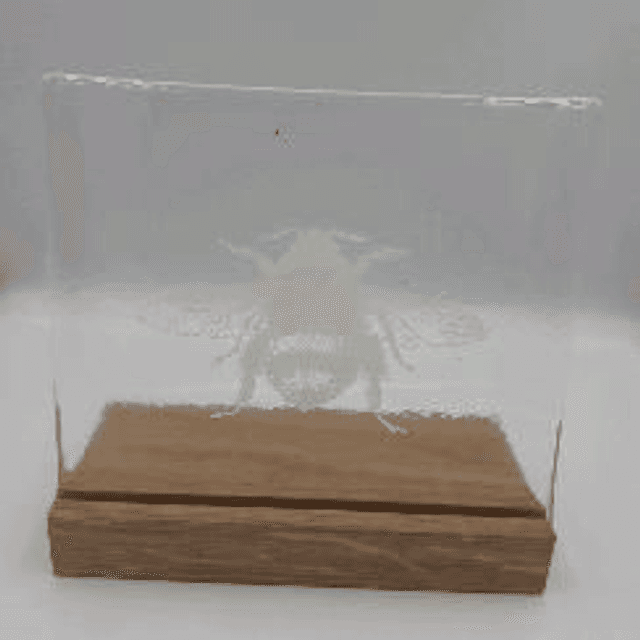 white enamelled bee