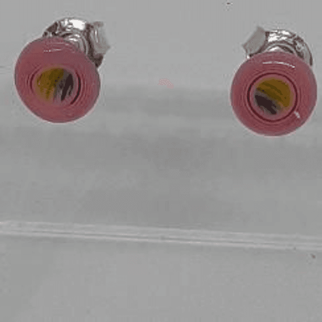 Rainbow  studs  (1)
