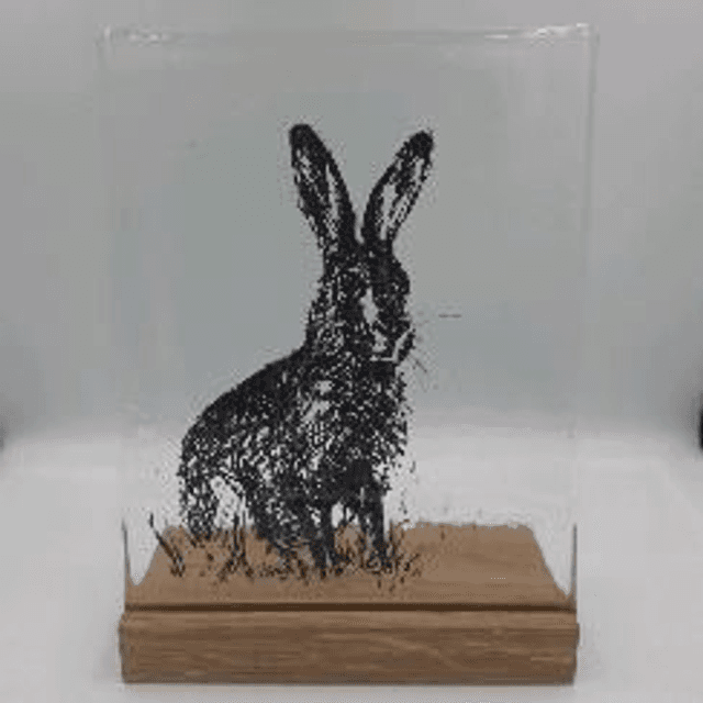 Wild hare in stand 